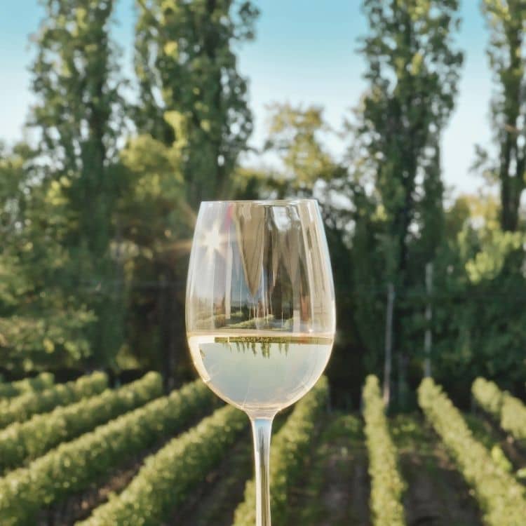 kieliszek wino bezalkoholowe