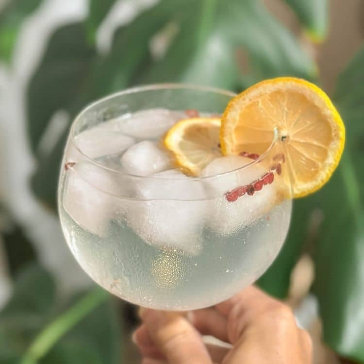 kieliszek gin z tonikiem